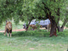 A Wild Easter Weekend Awaits at Gauteng’s Top Wildlife Parks