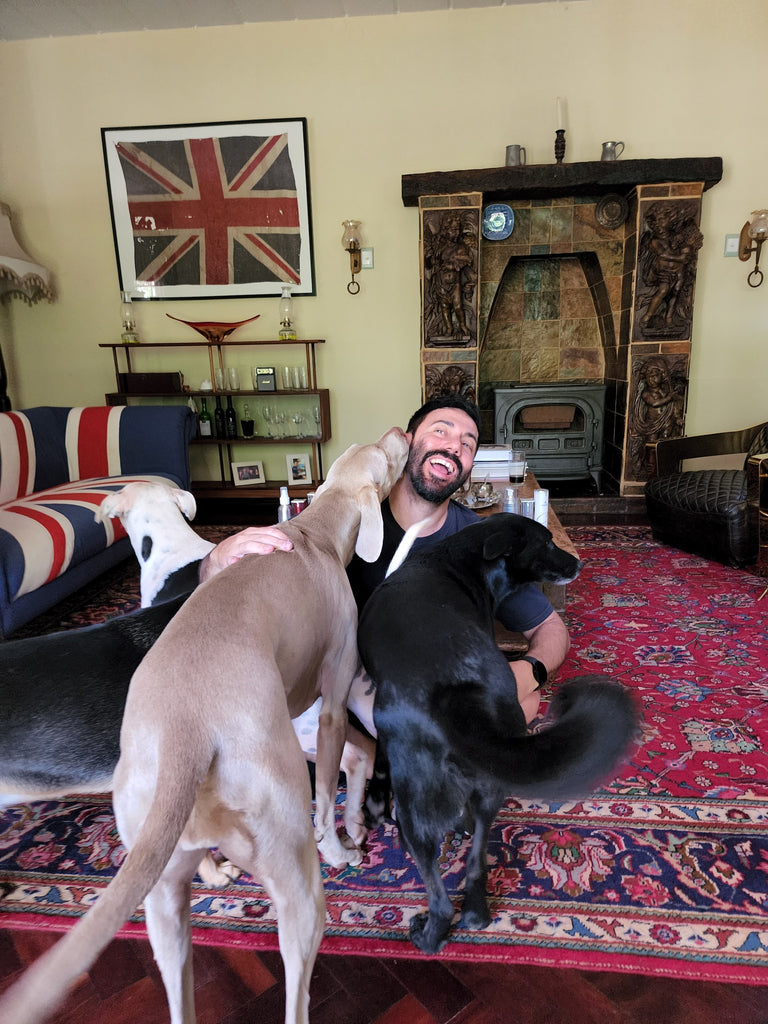 Martin Bester’s Top Tips For Adopting A Dog