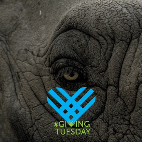 Blue Sky Society Trust Joins the Global #GivingTuesday Movement  Pledges to raise R10,000 for wildlife and conservation causes