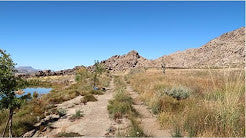 Camping in Koue Bokkeveld, South Africa | Schoongezicht Camp Site