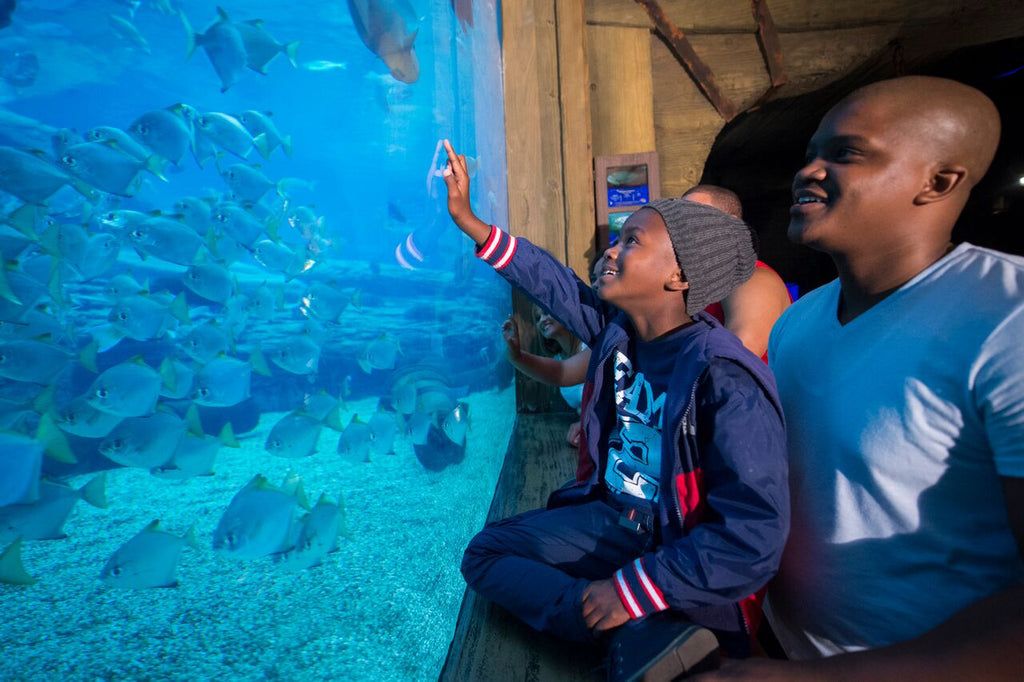 June celebrates fun times with our Dads at uShaka Marine World!