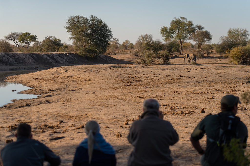 Family Friendly Safari at Africa on Foot