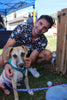 World Animal Day on the Promenade: a celebration of the animals we love