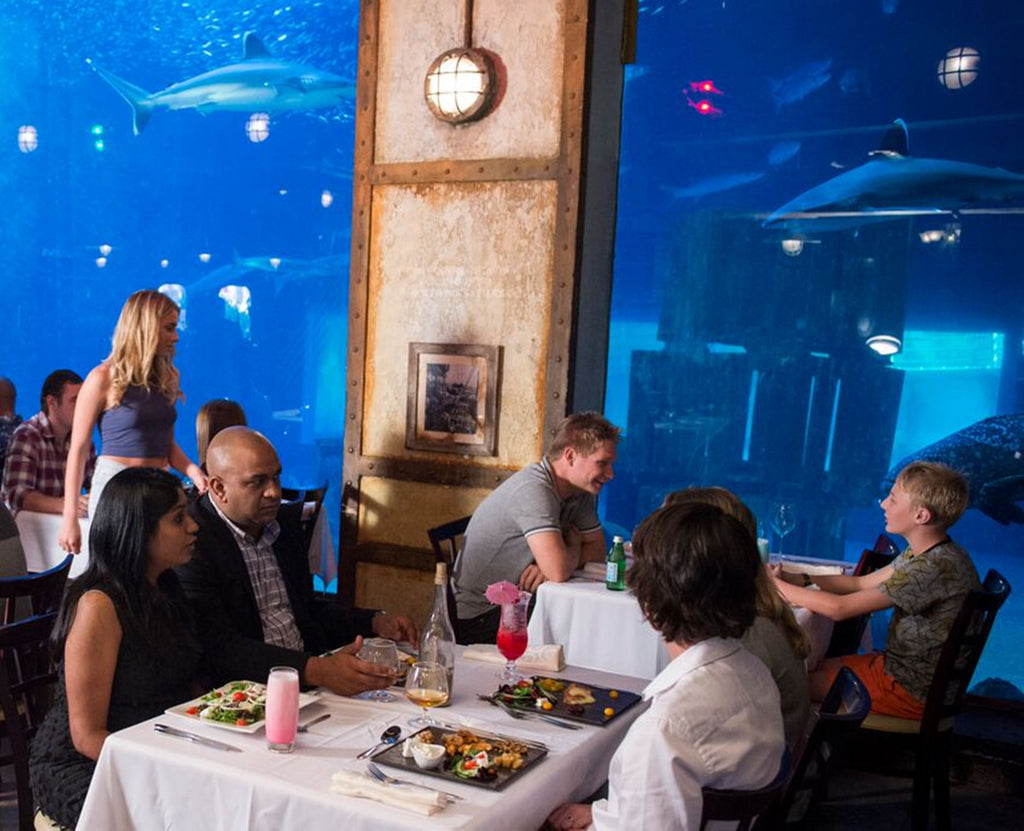 Cargo Hold Cruises to Santa Cruz