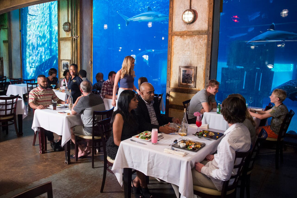 Revamped Cargo Hold Restaurant to set sail in September