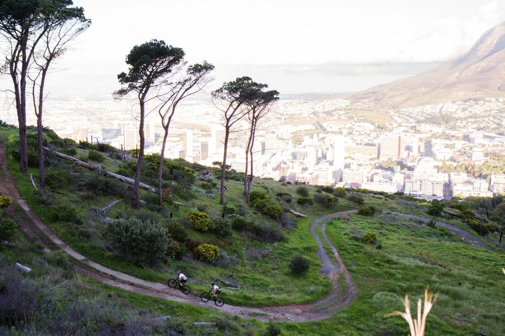 The Gondwana Conservation Foundation's aim