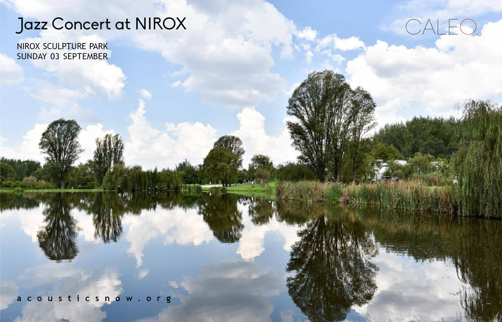 Jazz Concert at NIROX Sculpture Park
