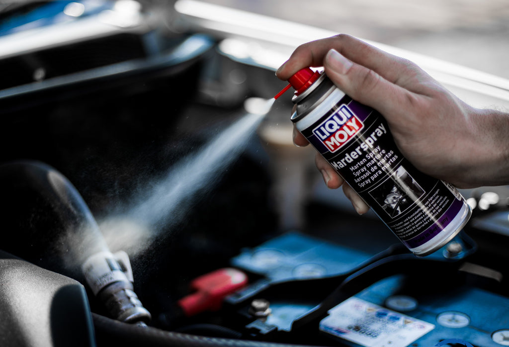 Liqui Moly Stocks Up On Anti-Rat Spray