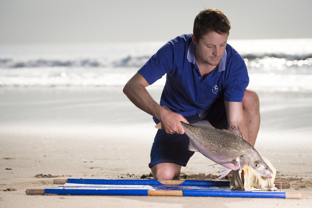 uShaka Marine World Celebrating National Science Week this Weekend!
