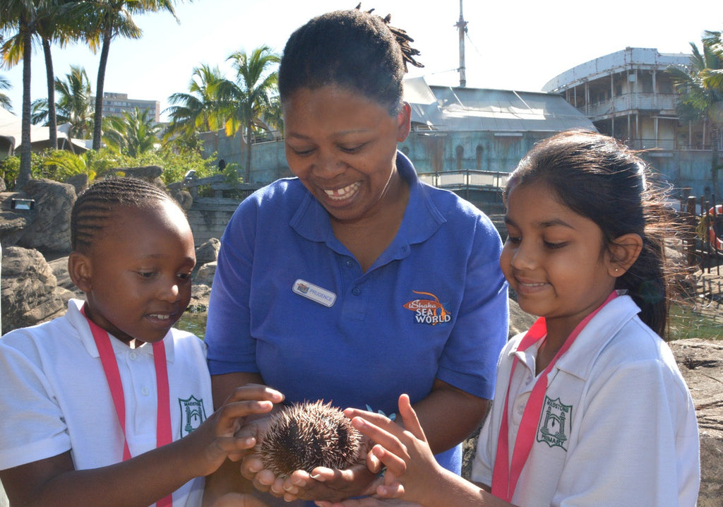 uShaka Sea World Looking for Education Volunteers