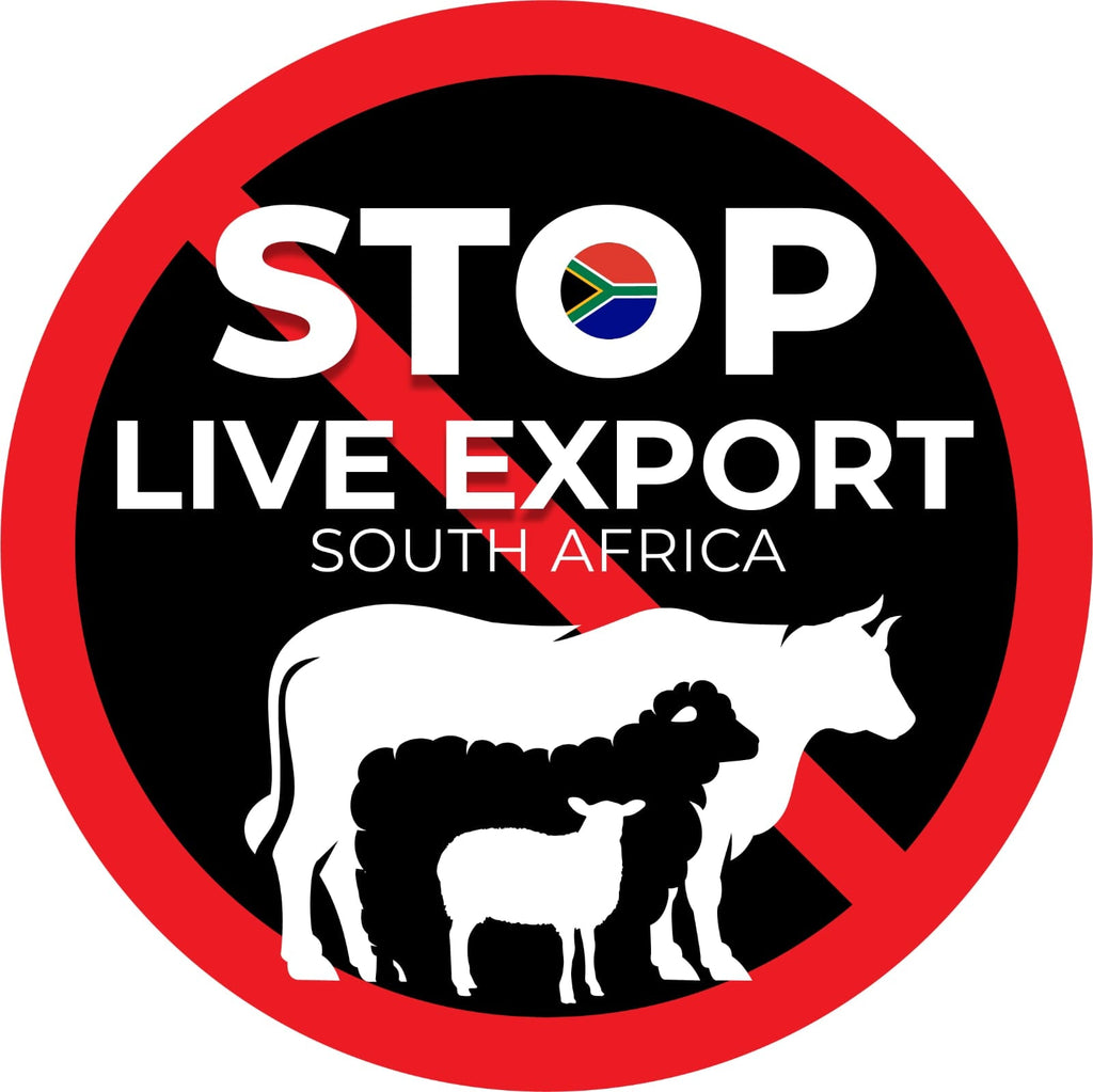 South Africans Unite to Protect Animals from Cruel Sea Transport