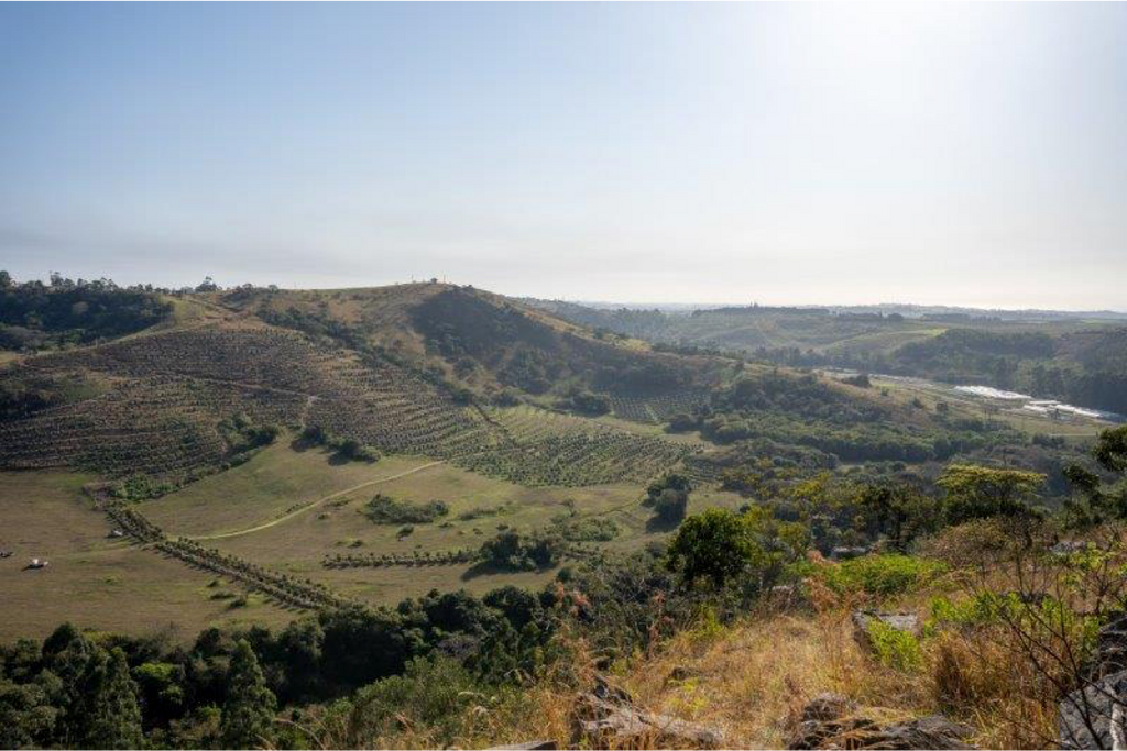 Play Here, Stay Here – why the KZN South Coast property market is on the up