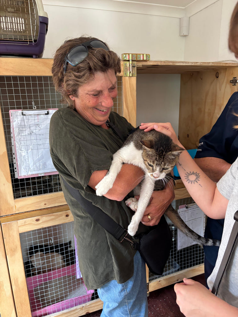 Lost cat reunited with his family after seven years: The power of a microchip