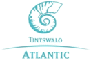 Tintswalo Atlantic: Phoenix Charity Dinner 2017