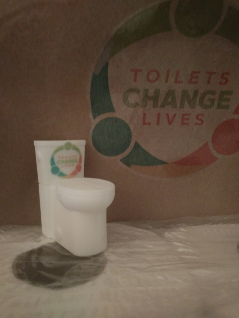 World Toilet Day and How it Affects us as South Africans