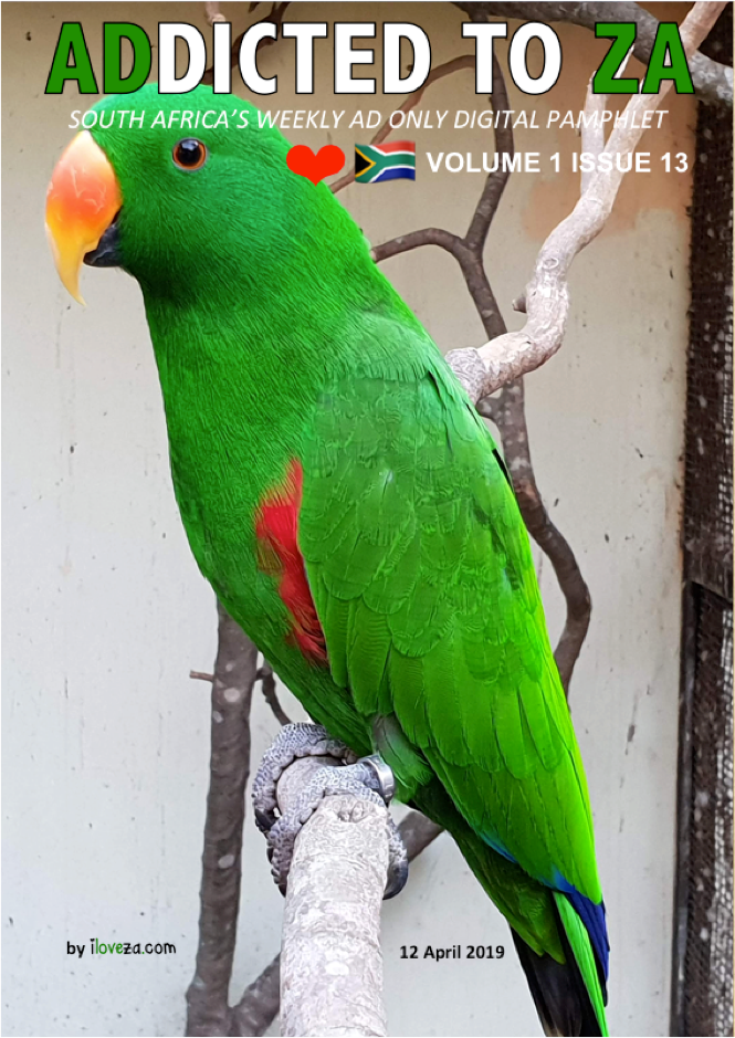 ADDICTED TO ZA Volume 1 Issue 13