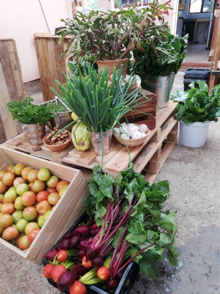 Tourism businesses show support for the newly launched Buy Local campaign