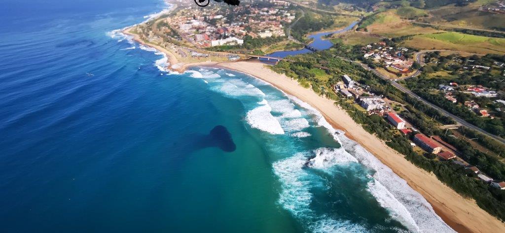 Uncover ocean adventure on the KZN South Coast as the Sardine Run action continues!