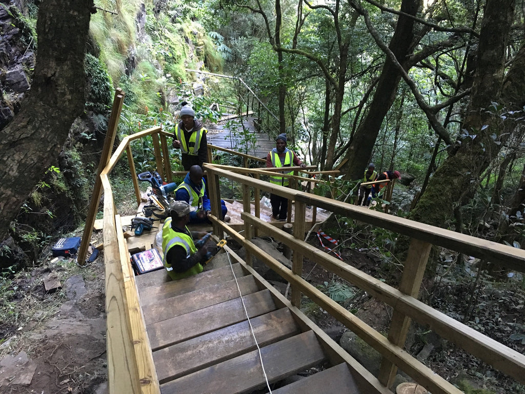 Staircase Down Gorge - Graskop Glass Elevator Development