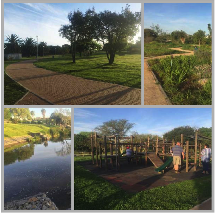 Secret Parks in the Northern Suburbs of Cape Town