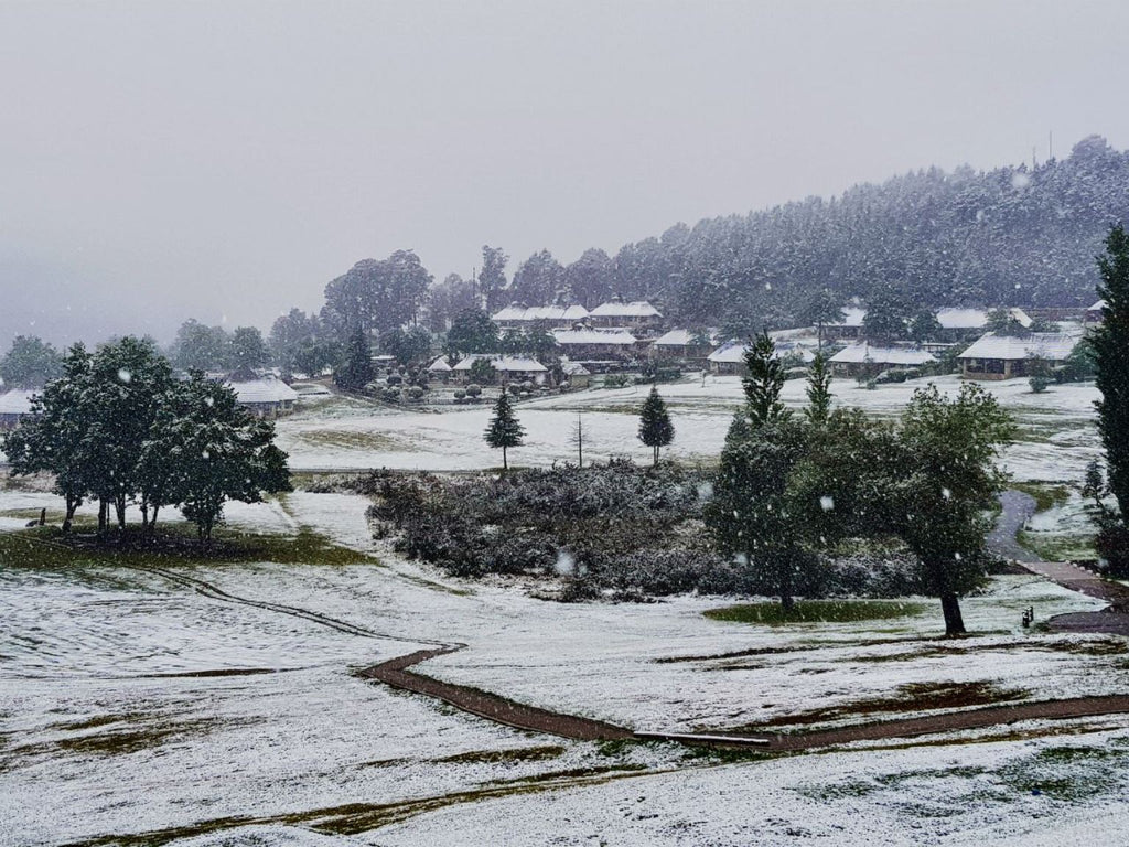 Snow in the Mountains