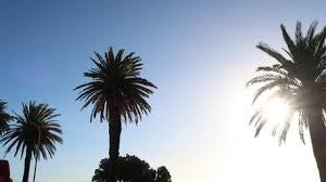 Sunset Bus Tour - Cape Town, South Africa