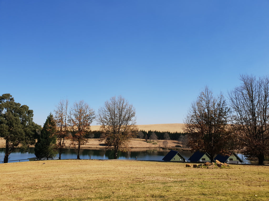 Make Springholm Your Home