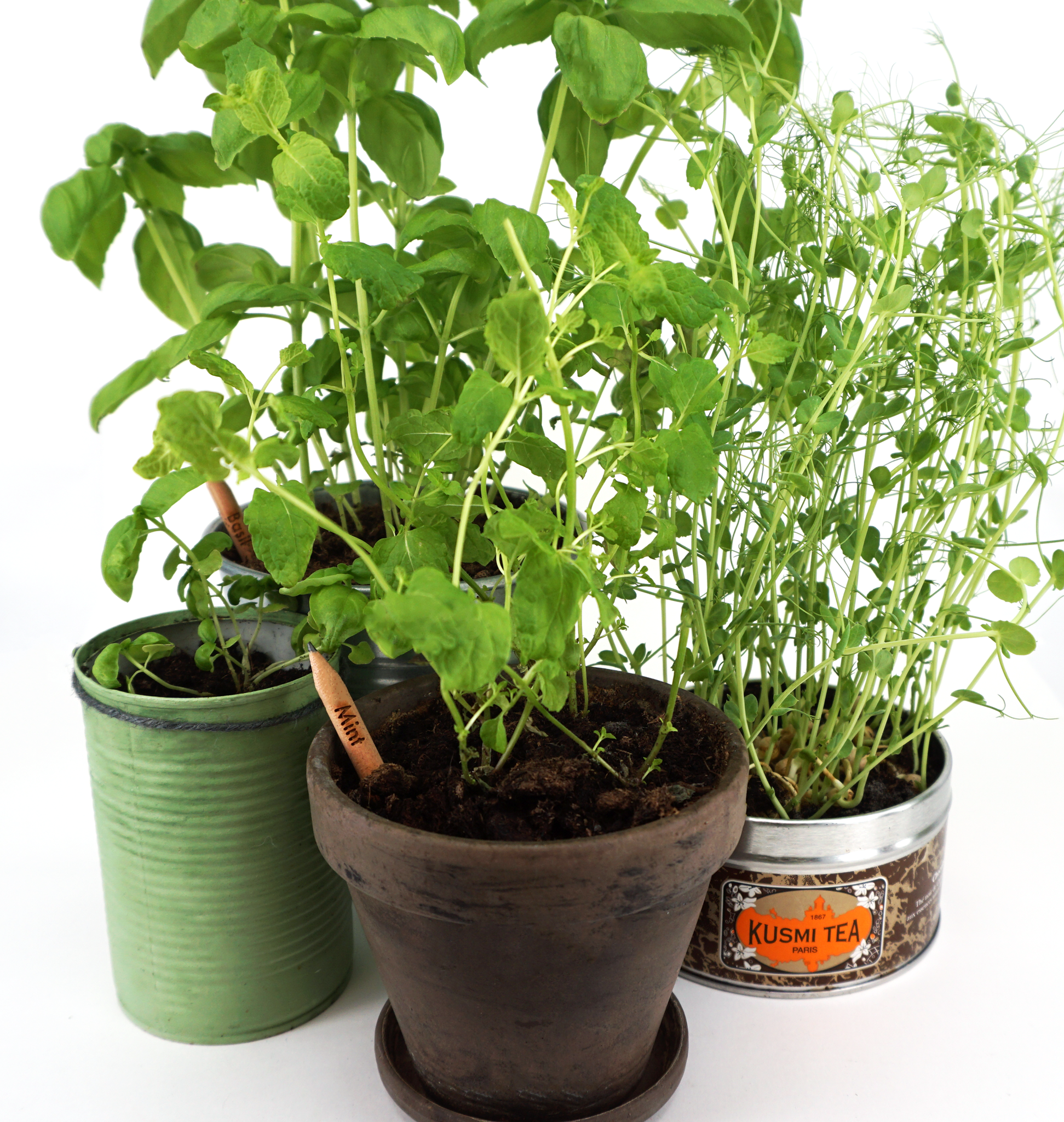 Sprout Pencil - iloveza.com - 5